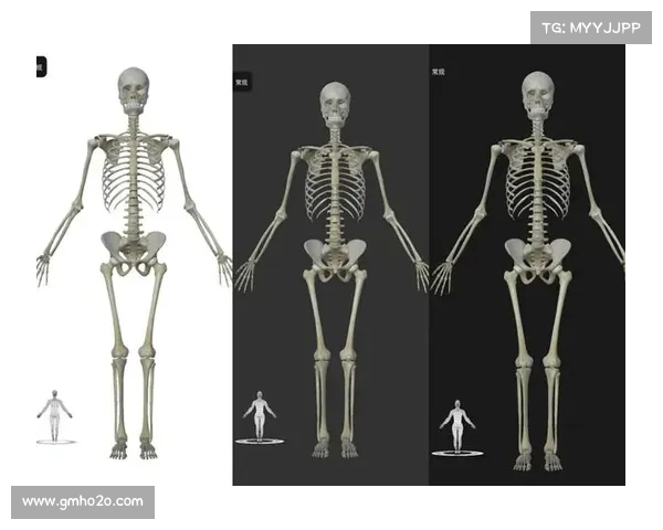 魔兽8.2解剖大师装备图纸获取秘籍
